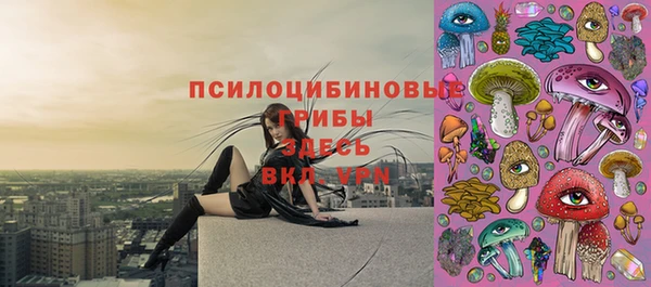 альфа пвп Бугульма