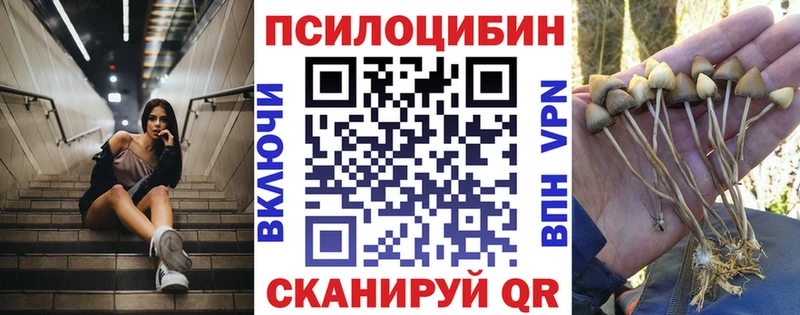 Псилоцибиновые грибы MAGIC MUSHROOMS Аткарск